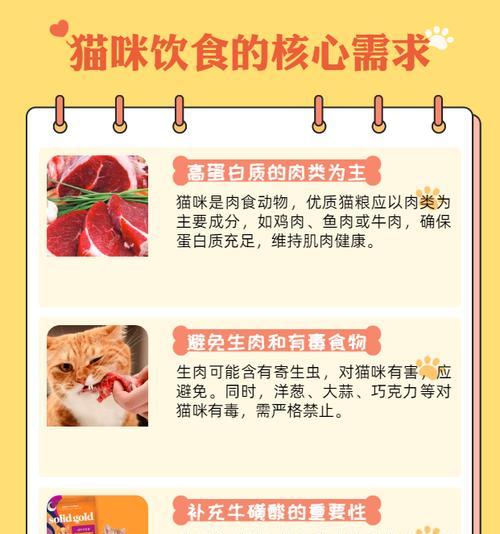 猫妈妈守着小猫吃猫粮怎么办？如何确保小猫健康饮食？