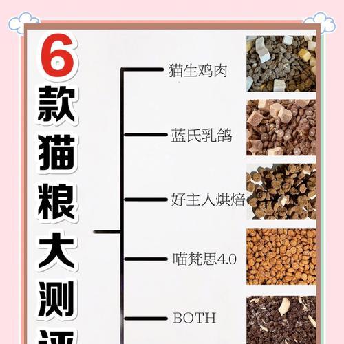 哪种猫粮最适合猫咪？如何选择优质猫粮？