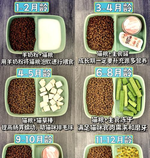 猫粮和猫条混合喂食猫咪会怎样？