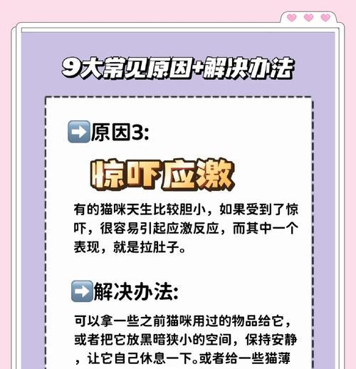 毒猫粮会导致猫咪拉稀吗？原因是什么？