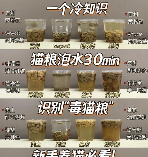 猫粮需要泡水吗？这样做有什么好处？