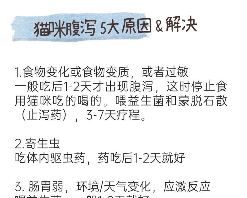 布偶猫吃了新猫粮后呕吐怎么办？如何处理猫粮引起的不适？