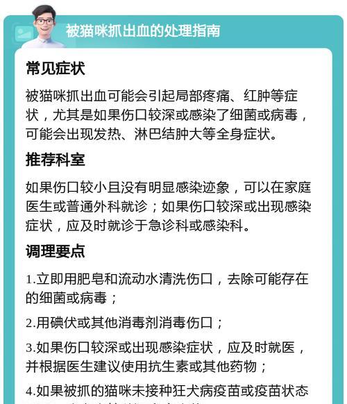 橘猫吃猫粮被抓出血了怎么办？需要带猫去看医生吗？