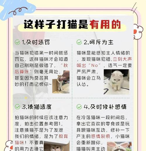 猫吃猫粮用爪夹怎么办？如何训练正确进食？