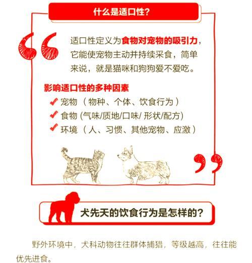 猫咪偏食猫粮不吃猫饭？探究背后的原因和解决办法？