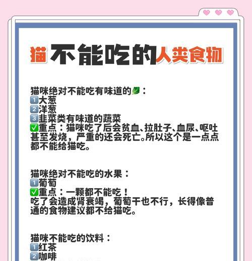 猫咪偏食猫粮不吃猫饭？探究背后的原因和解决办法？