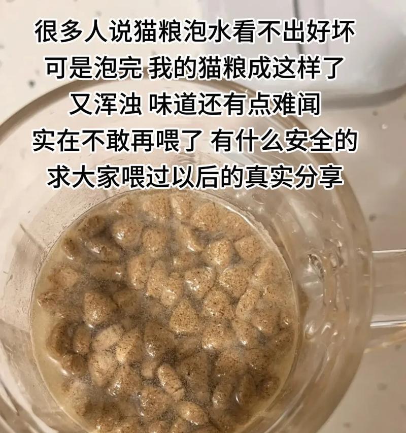 猫粮泡水后会怎样？泡水猫粮的正确做法是什么？