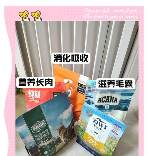 新手猫舍购买猫粮的正确方式是什么？