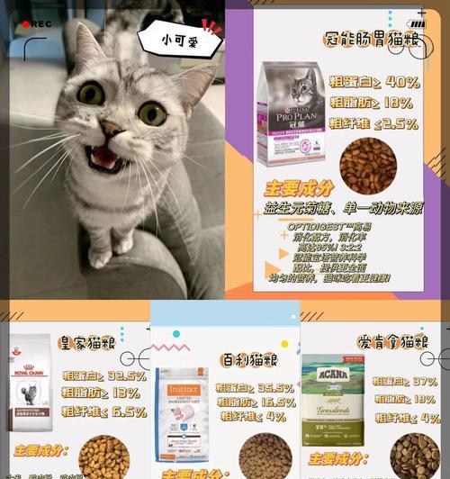 老人喂猫不吃猫粮为何会变胖？