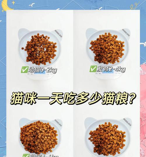 猫长胖喂什么粮比较好消化？如何选择适合的猫粮？