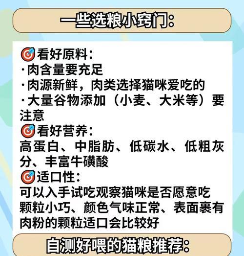 疫情没有猫粮的猫咪怎么处理？如何应对猫粮短缺？