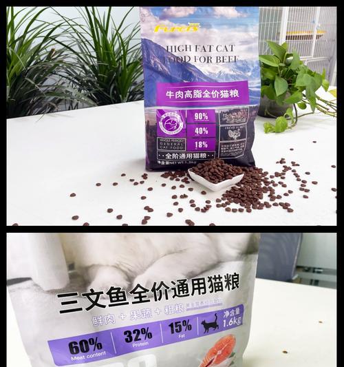 幼年猫与成年猫猫粮有何不同？如何正确喂食？