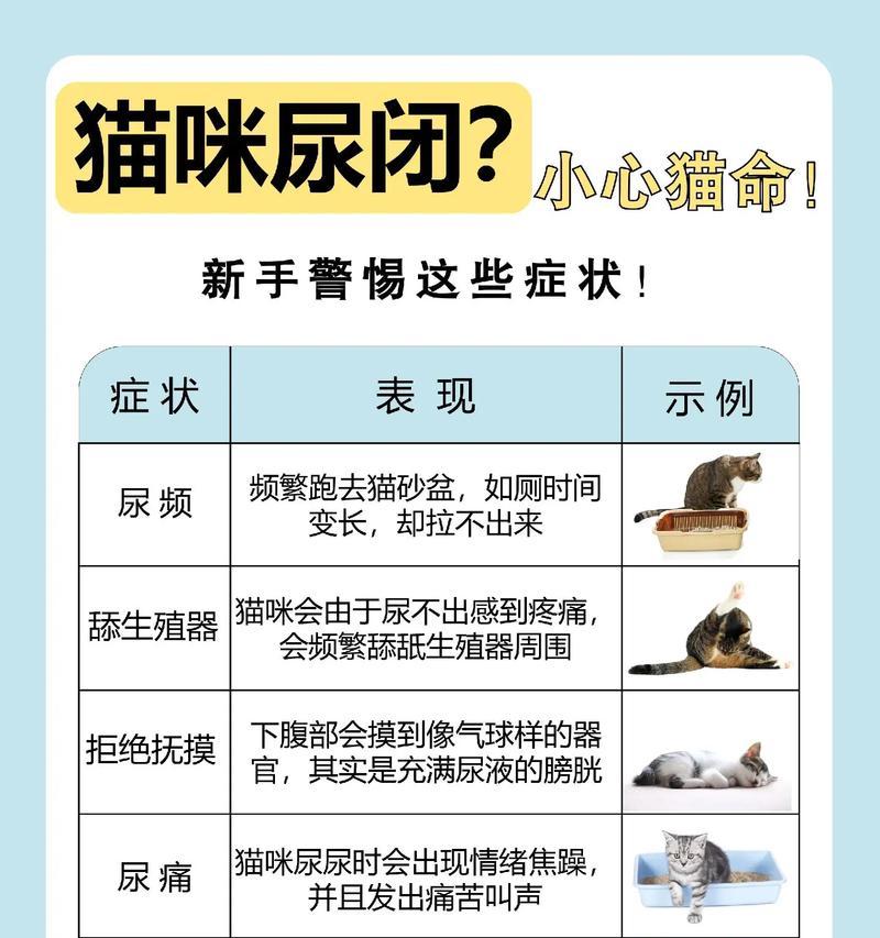 猫粮导致尿闭是什么原因？