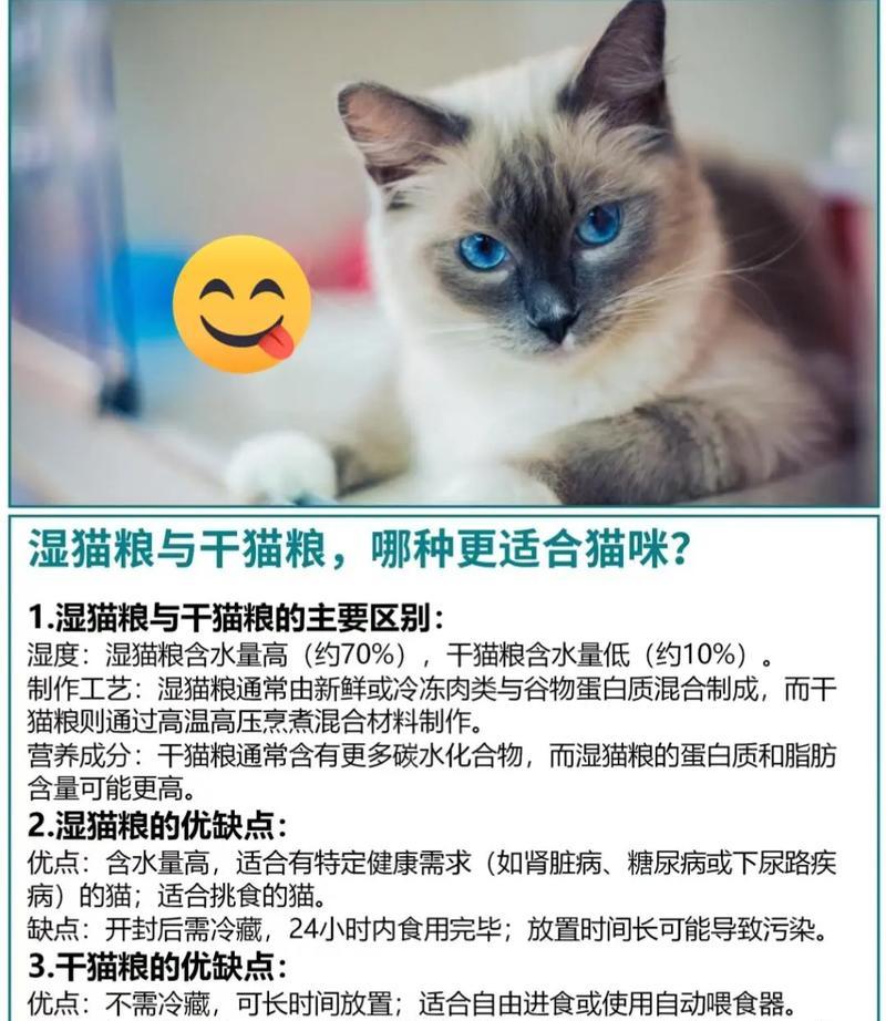 猫粮变湿粮需要加什么？湿粮对猫咪有什么好处？