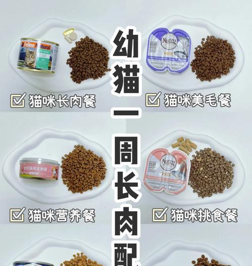 哪些猫粮和主食罐头口味更佳？如何选择？