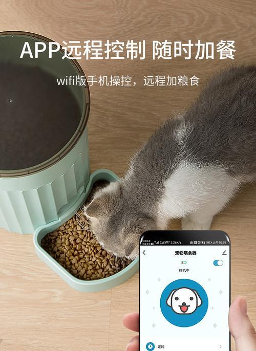 自动喂猫器如何正确放置猫粮？操作步骤是什么？