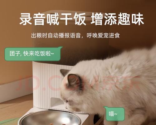 自动喂猫器如何正确放置猫粮？操作步骤是什么？