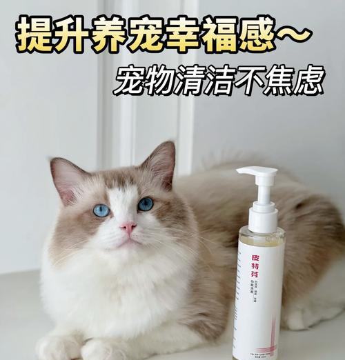 猫咪粮中混有猫毛如何清理？有哪些有效的方法？