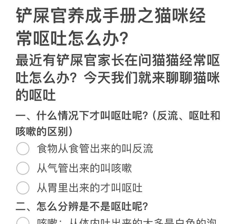 喂猫粮后呕吐怎么办？如何预防？