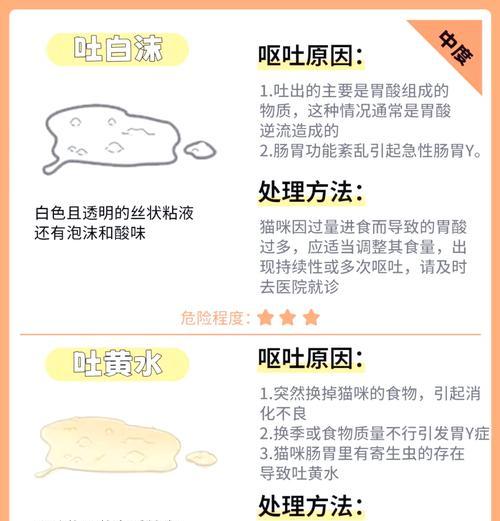 喂猫粮后呕吐怎么办？如何预防？