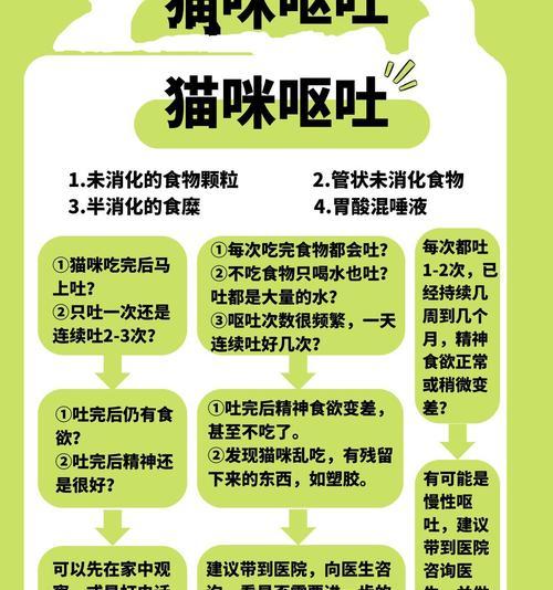 猫吐了又吃猫粮是什么原因？