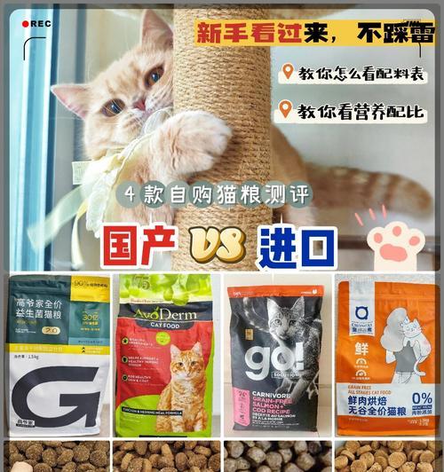 猫咪不爱动时应选择哪种猫粮？如何激发食欲？