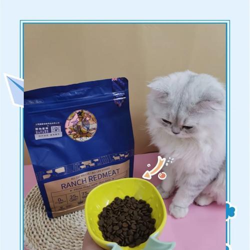 云猫投喂猫粮怎么样啊？是否值得尝试？