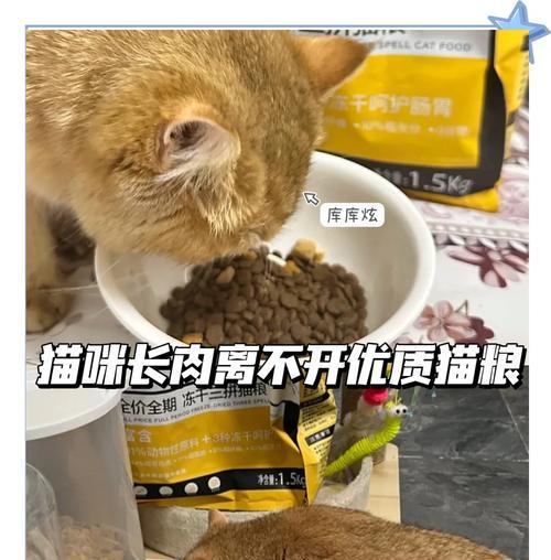 猫粮可以作为肥料使用吗？