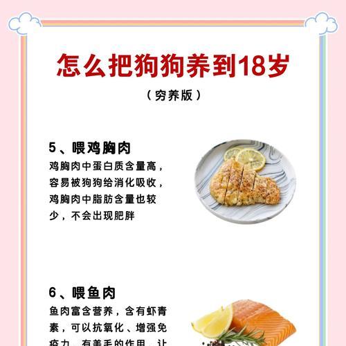 宠物狗天天吃火腿对健康有影响吗？应该怎样平衡饮食？