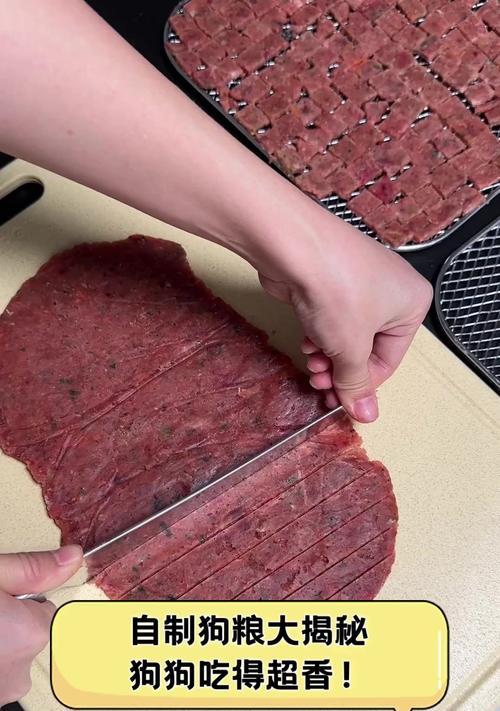 狗狗吃了人食后是否还应继续喂食自制狗粮？