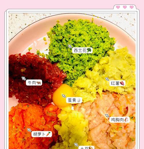 狗狗吃了人食后是否还应继续喂食自制狗粮？