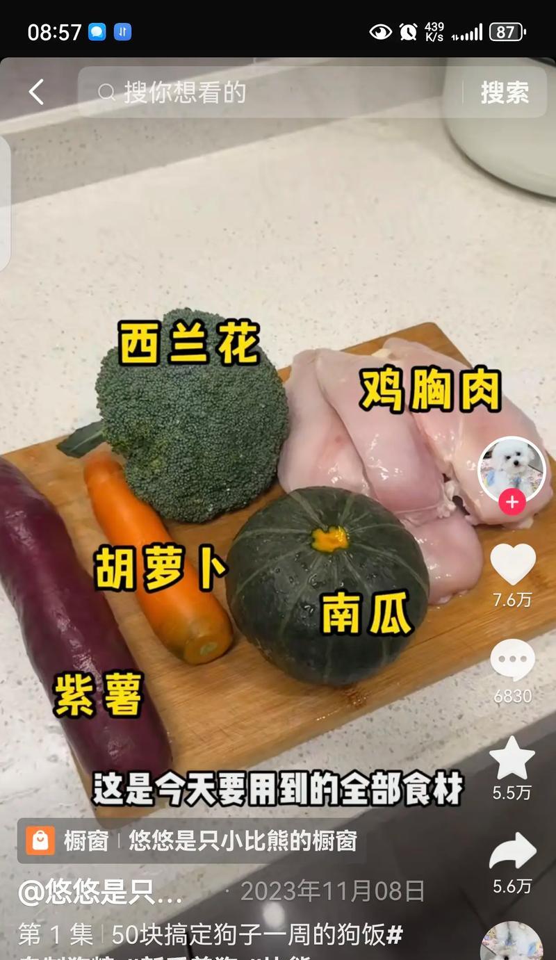 狗狗吃了人食后是否还应继续喂食自制狗粮？