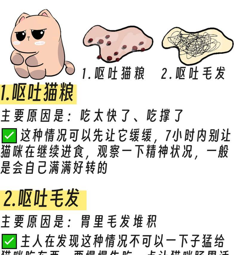 猫吃猫粮后呕吐的原因是什么？