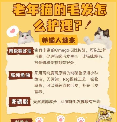 猫咪剃毛后如何护理？剃毛对猫咪有什么影响？