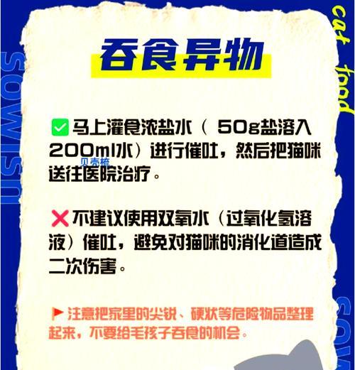 猫咪误食毒猫粮如何急救？寻找专业兽医的正确步骤是什么？