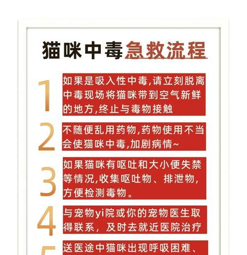 猫咪误食毒猫粮如何急救？寻找专业兽医的正确步骤是什么？
