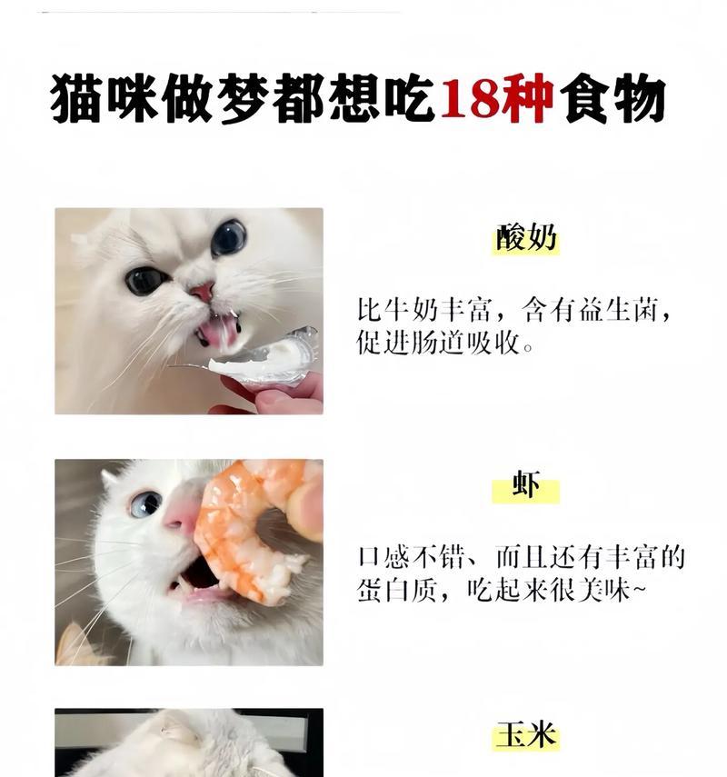 50年前的猫咪都吃什么样的猫粮？它们的饮食习惯如何？