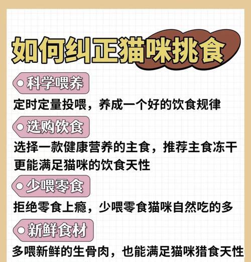 如何让挑食的猫咪重新爱上猫粮？