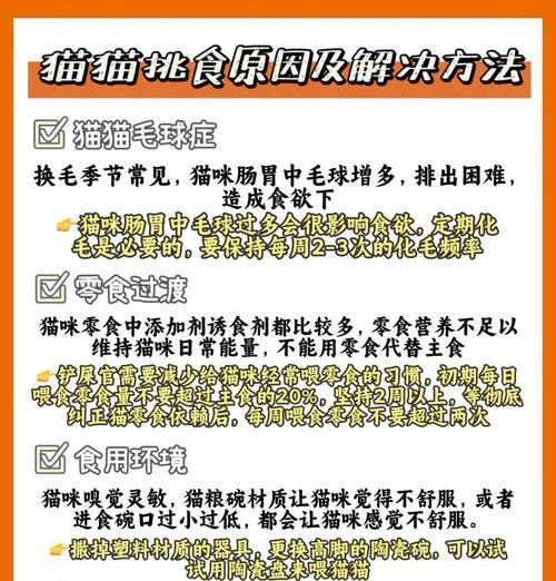 如何让挑食的猫咪重新爱上猫粮？