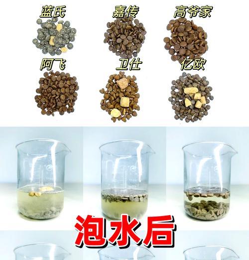 泡猫粮的水需要注意什么？正确的泡粮方法是什么？