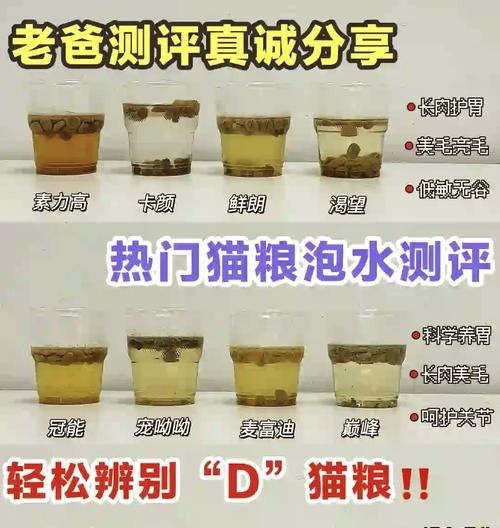泡猫粮的水需要注意什么？正确的泡粮方法是什么？