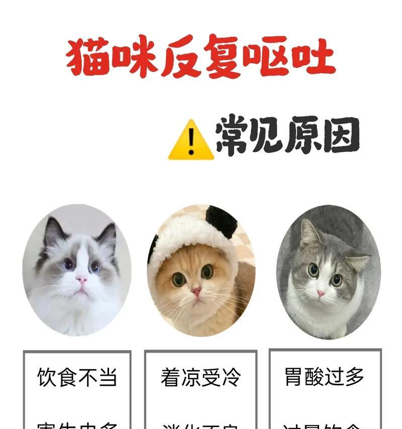 猫咪连续3天吐猫粮正常吗？可能的原因是什么？