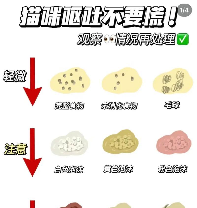 猫咪连续3天吐猫粮正常吗？可能的原因是什么？