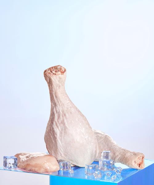 如何正确喂食火鸡猫粮？