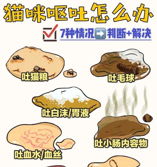 猫咪不怎么吐猫粮怎么回事？是否需要调整喂食习惯？