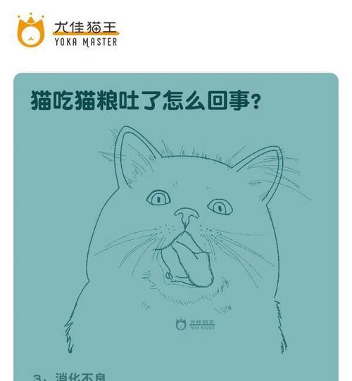 猫咪不怎么吐猫粮怎么回事？是否需要调整喂食习惯？