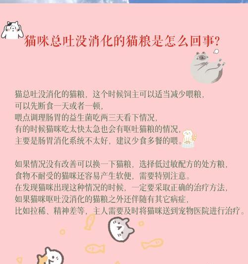 猫咪不怎么吐猫粮怎么回事？是否需要调整喂食习惯？