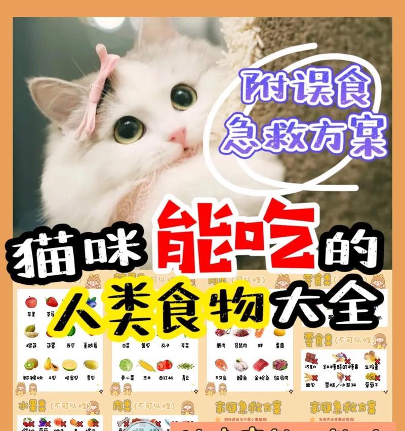 除了猫粮，猫还喜欢吃什么？如何为猫提供多样化的饮食？