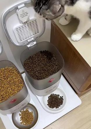 猫粮受潮后为什么会变硬？如何防止猫粮受潮？