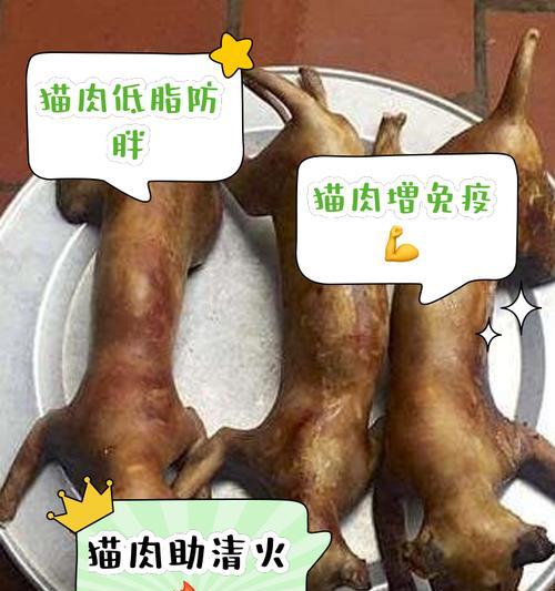 瘦肉中最像猫粮的肉是什么？这种肉对猫有什么好处？